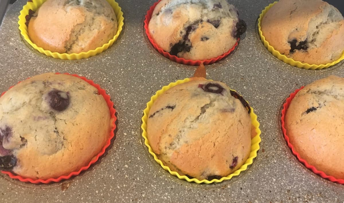 Blueberry Muffins